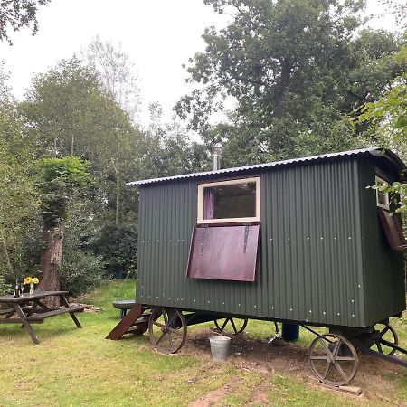 The Shepherd'S Hut - Wild Escapes Wrenbury Off Grid Glamping - Ages 12 And Over Baddiley Εξωτερικό φωτογραφία