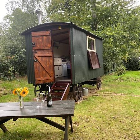 The Shepherd'S Hut - Wild Escapes Wrenbury Off Grid Glamping - Ages 12 And Over Baddiley Εξωτερικό φωτογραφία