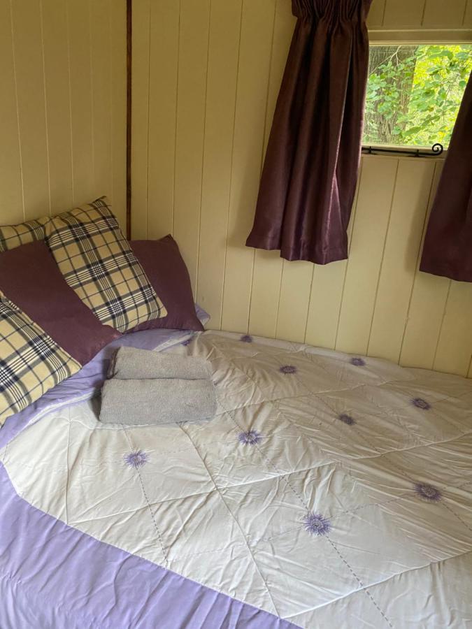 The Shepherd'S Hut - Wild Escapes Wrenbury Off Grid Glamping - Ages 12 And Over Baddiley Εξωτερικό φωτογραφία